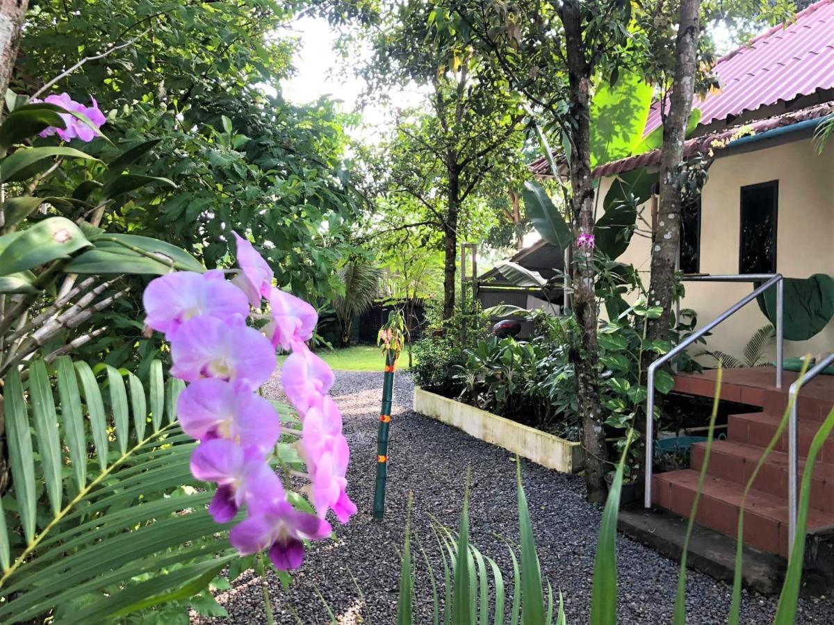 Green Mango Bungalows Kampot Exterior photo