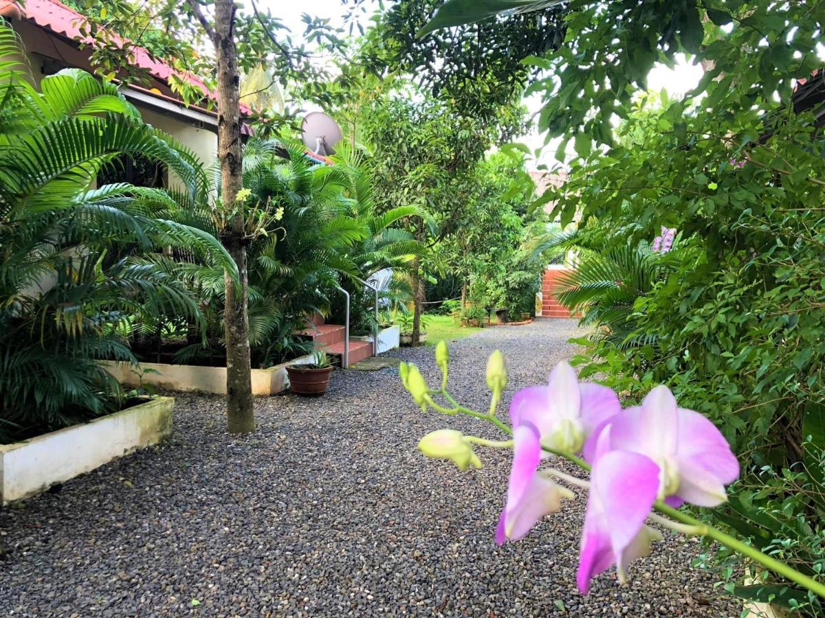 Green Mango Bungalows Kampot Exterior photo